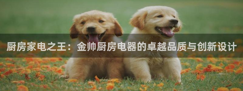 摩登6上7O667