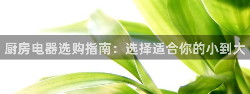 摩登招商虍金手指排名7